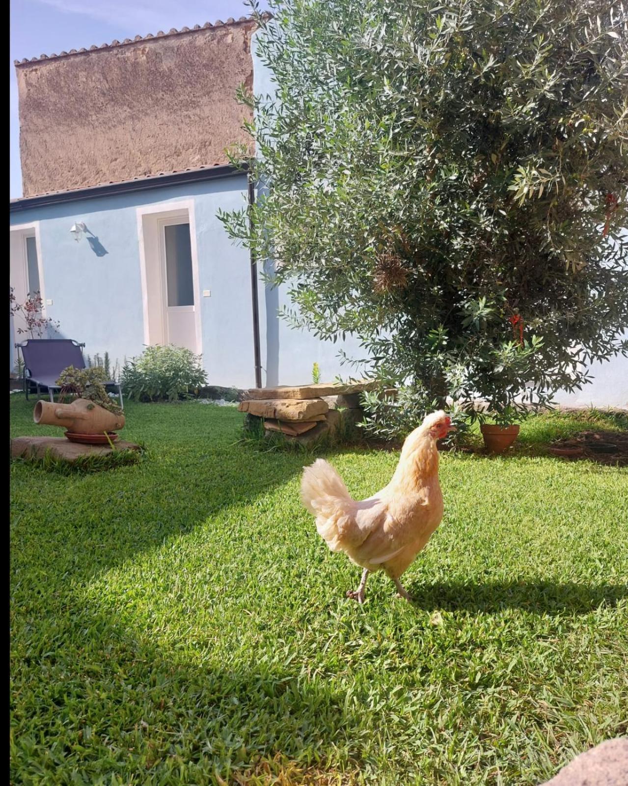 B&B Il Borgo Delle Emozioni Dolianova Luaran gambar